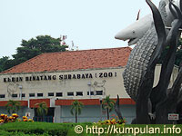 Kebun Binatang Surabaya (KBS)